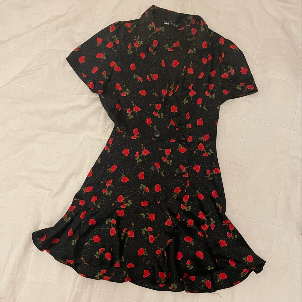 Zara dress